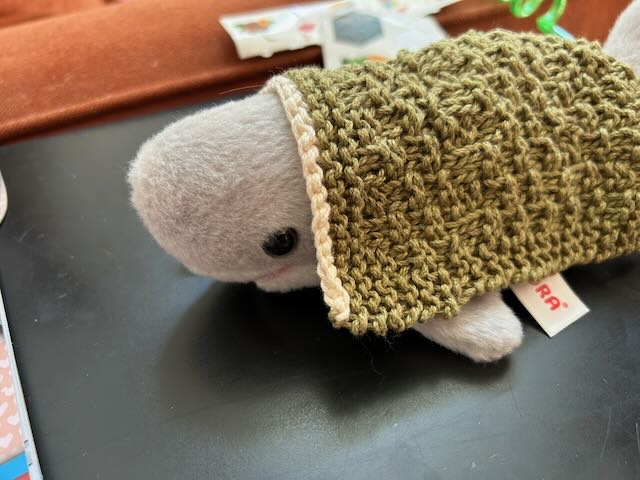 stuffed shark with dishcloth for blanket